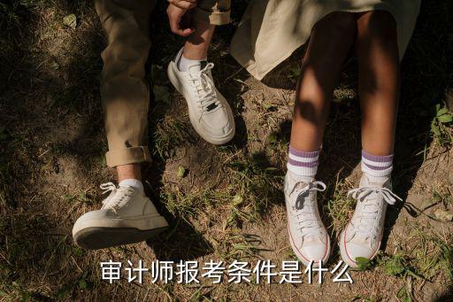 審計師報考條件是什么