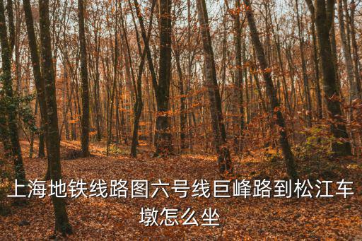 上海地鐵線路圖六號線巨峰路到松江車墩怎么坐