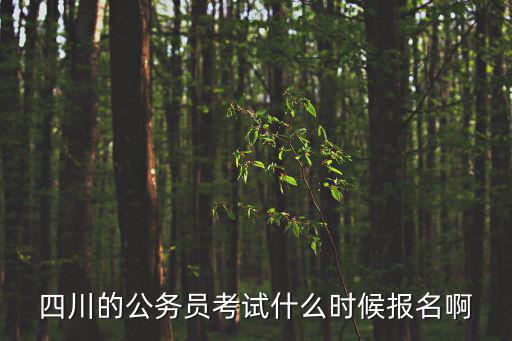 四川的公務員考試什么時候報名啊