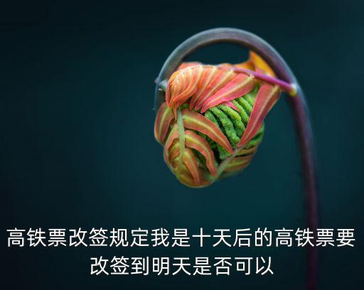 高鐵票改簽規定，動車火車票改簽規定是怎樣的