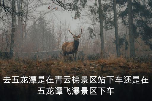 去五龍潭是在青云梯景區站下車還是在五龍譚飛瀑景區下車