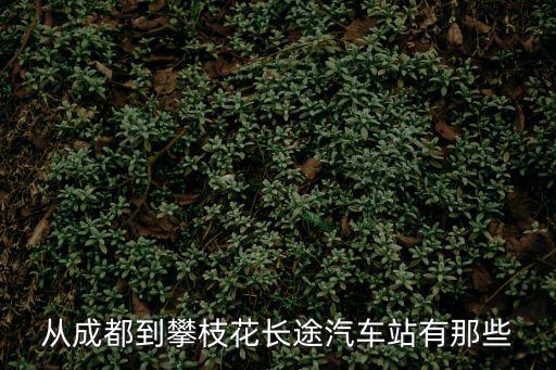 從成都到攀枝花長(zhǎng)途汽車站有那些