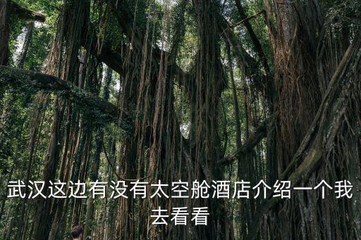太空艙酒店，武漢這邊有沒有太空艙酒店介紹一個我去看看