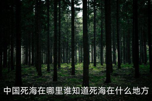 中國死海在哪里誰知道死海在什么地方