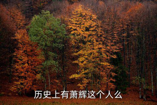 歷史上有蕭輝這個(gè)人么