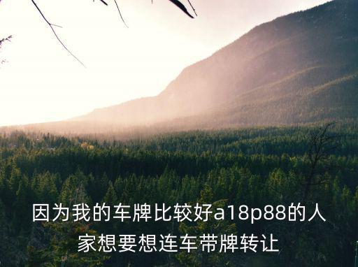 因為我的車牌比較好a18p88的人家想要想連車帶牌轉讓