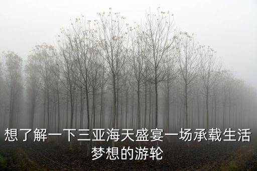 海南海天盛筵，三亞海天盛筵有哪些著名的五星級酒店