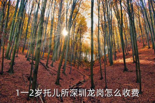 1一2歲托兒所深圳龍崗怎么收費