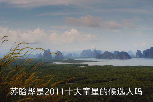蘇晗燁是2011十大童星的候選人嗎
