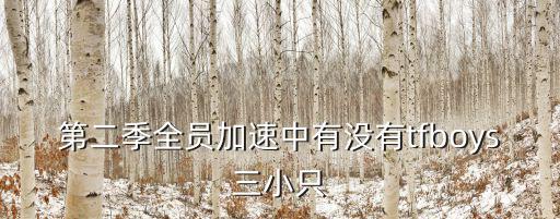 第二季全員加速中有沒有tfboys三小只