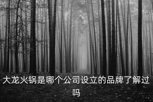 大龍火鍋是哪個公司設(shè)立的品牌了解過嗎
