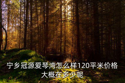 寧鄉冠源愛琴灣怎么樣120平米價格大概在多少呢