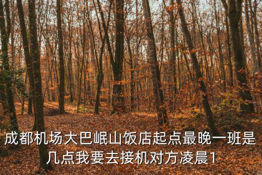 成都機場大巴岷山飯店起點最晚一班是幾點我要去接機對方凌晨1