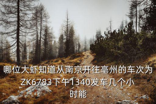 哪位大蝦知道從南京開往亳州的車次為ZK6783下午1340發車幾個小時能