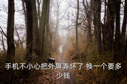 手機不小心把外屏弄壞了 換一個要多少錢