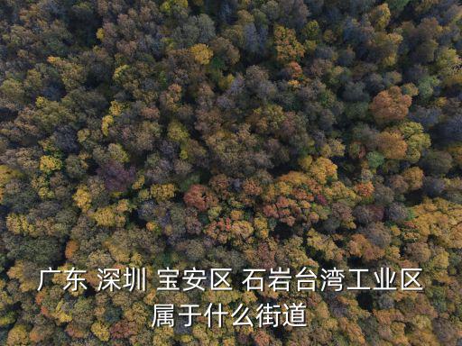 廣東 深圳 寶安區 石巖臺灣工業區屬于什么街道