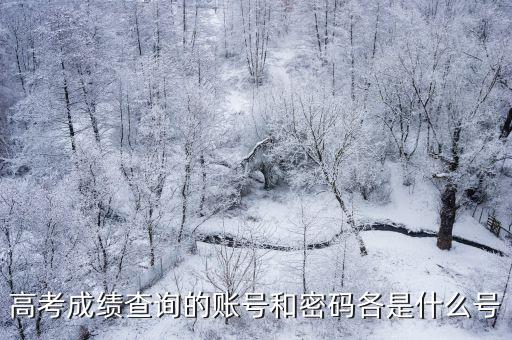 高考成績查詢的賬號和密碼各是什么號