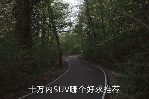 十萬內SUV哪個好求推薦