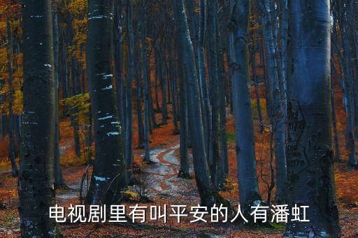 電視劇里有叫平安的人有潘虹