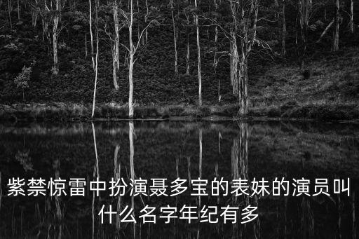 聶多寶，2011年7月25日晚上8點半翡翠臺做的電視劇叫什么