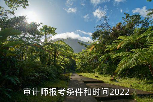 審計師報考條件和時間2022