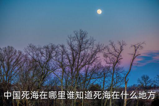 中國(guó)死海在哪里，中國(guó)的死海在哪阿好不好玩