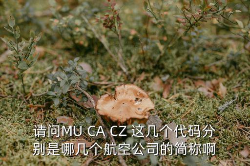 航空公司代碼表，國際航空的三字代碼和四字代碼