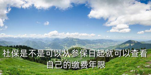 社保繳費年限查詢，社保是不是可以從參保日起就可以查看自己的繳費年限