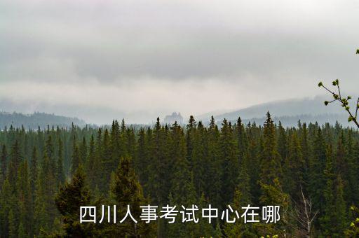四川人事考試中心在哪