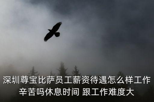 深圳尊寶比薩員工薪資待遇怎么樣工作辛苦嗎休息時間 跟工作難度大