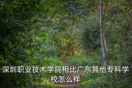 深圳職業技術學院相比廣東其他專科學校怎么樣