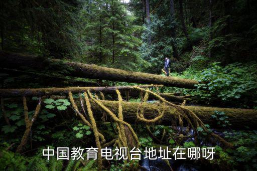 中國教育電視臺地址在哪呀