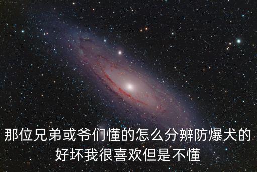那位兄弟或爺們懂的怎么分辨防爆犬的好壞我很喜歡但是不懂