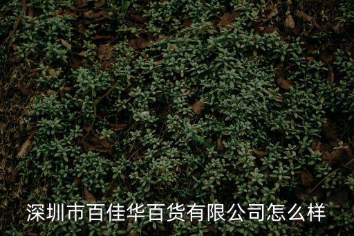 深圳市百佳華百貨有限公司怎么樣