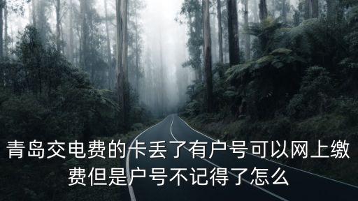 青島交電費(fèi)的卡丟了有戶號(hào)可以網(wǎng)上繳費(fèi)但是戶號(hào)不記得了怎么