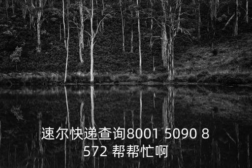 速爾快遞查詢(xún)8001 5090 8572 幫幫忙啊