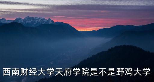 西南財經大學天府學院是不是野雞大學