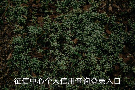 征信中心個人信用查詢登錄入口