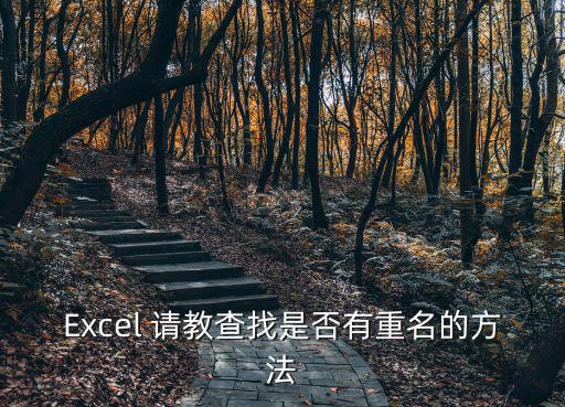 Excel 請教查找是否有重名的方法