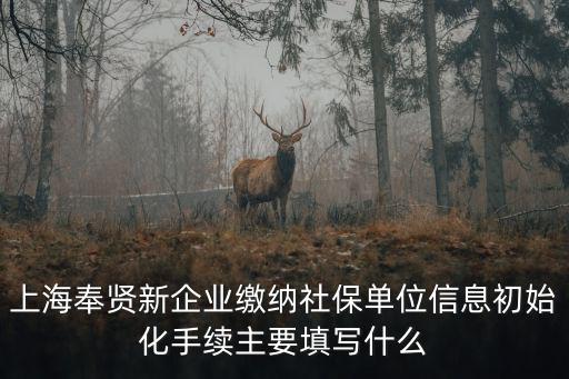 上海奉賢新企業(yè)繳納社保單位信息初始化手續(xù)主要填寫什么