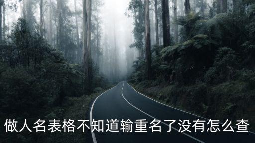做人名表格不知道輸重名了沒有怎么查