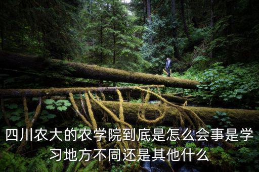 四川農(nóng)業(yè)大學(xué)農(nóng)學(xué)院，四川農(nóng)業(yè)大學(xué)農(nóng)學(xué)院是否要搬回溫江呀