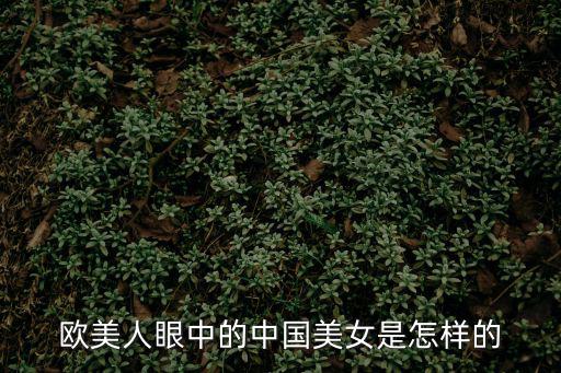 歐美人眼中的中國美女是怎樣的
