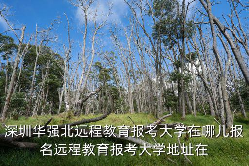 深圳教育在線，深戶畢業(yè)生拿深圳市教育局報到證怎么報到