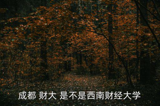 成都西南財經大學，成都西南財經大學屬于幾本