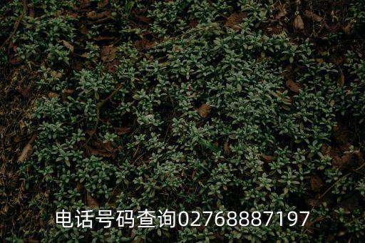 電話號碼查詢02768887197