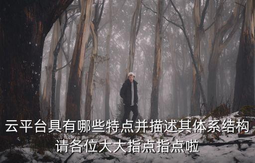 網(wǎng)絡(luò)學(xué)習(xí)云平臺，云平臺具有哪些特點(diǎn)并描述其體系結(jié)構(gòu)請各位大大指點(diǎn)指點(diǎn)啦