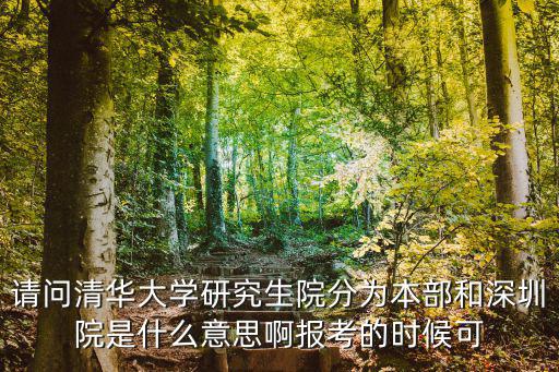 清華大學深圳研究生院，清華大學深圳研究生院金融研修中心在哪里