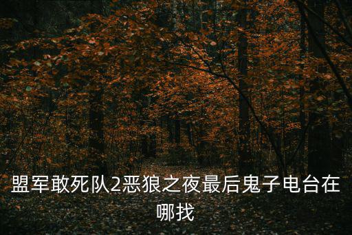 殺狼花2之敢死隊，敢死隊2史泰龍和杰森斯坦森戴在手上的武器是什么