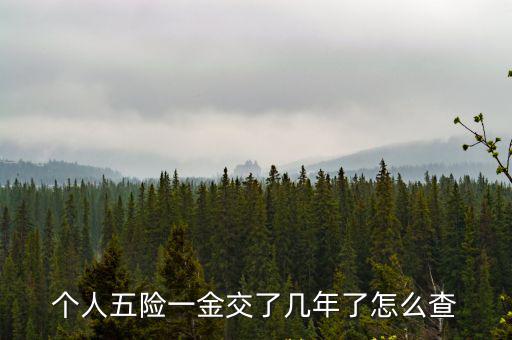 查社保交了多少年怎么查，個人五險一金交了幾年了怎么查